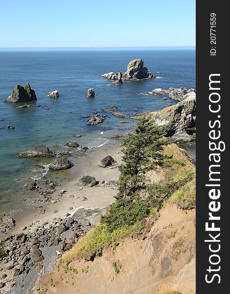 A bird sanctuary in Ecola state park & pacific ocean view. A bird sanctuary in Ecola state park & pacific ocean view.