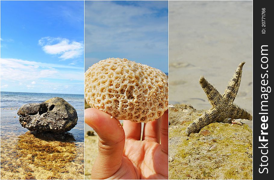 A collage of different image that can be seen in the beach. A collage of different image that can be seen in the beach.