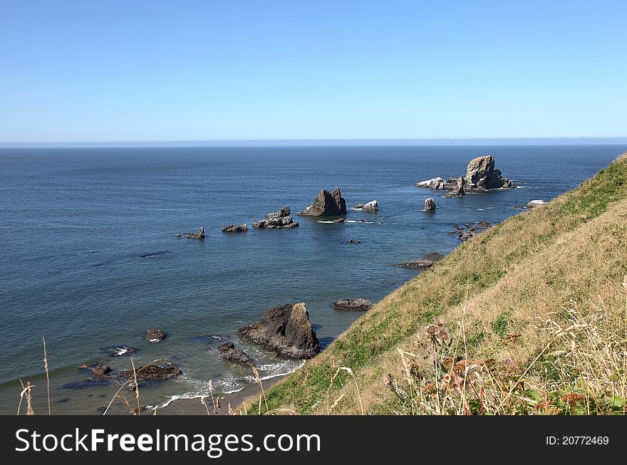 Bird sanctuary along the Oregon coastline near Ecola state park. Bird sanctuary along the Oregon coastline near Ecola state park.