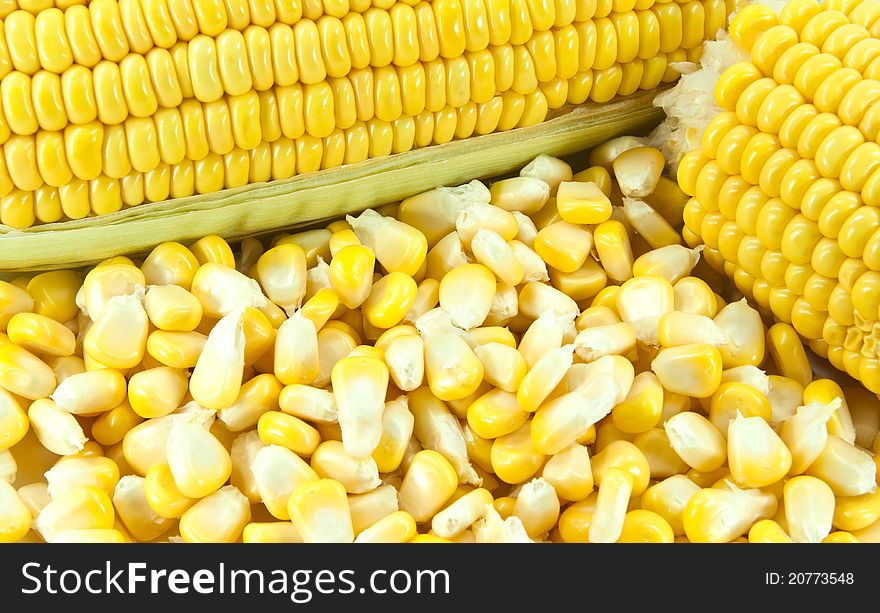 Close up of kernels of sweet corns. Close up of kernels of sweet corns.
