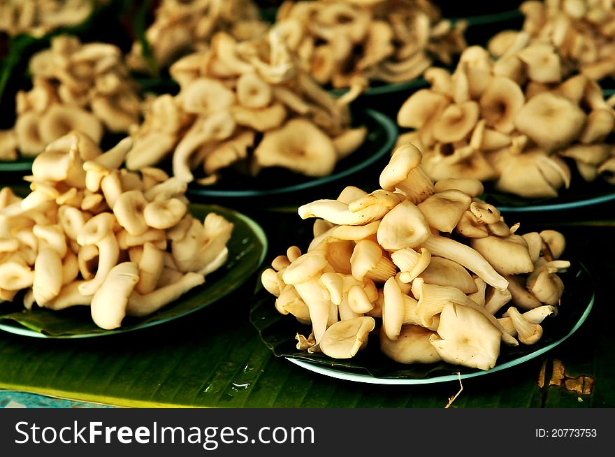 Wild mushroom in the fresh market, Thailand