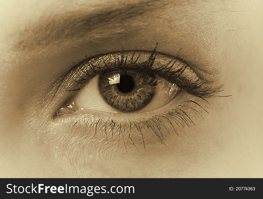 Female eye closeup in sepia tone