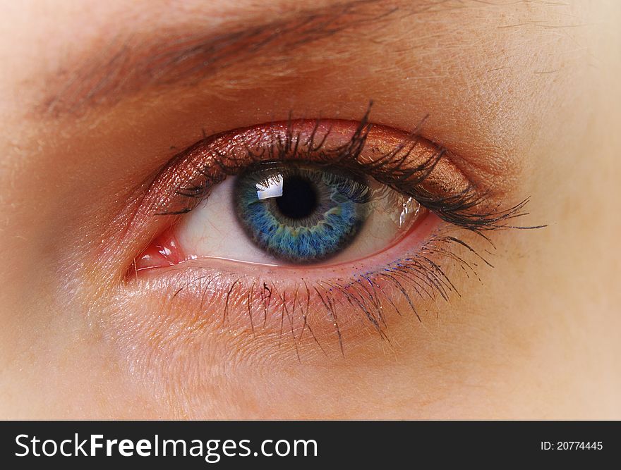 Blue female eye close up