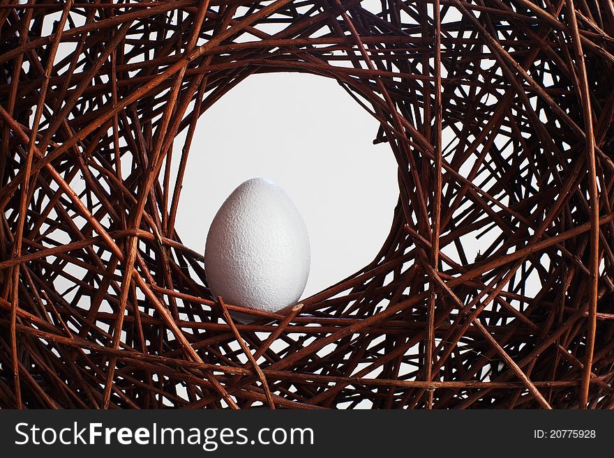 Egg in a nest over branches