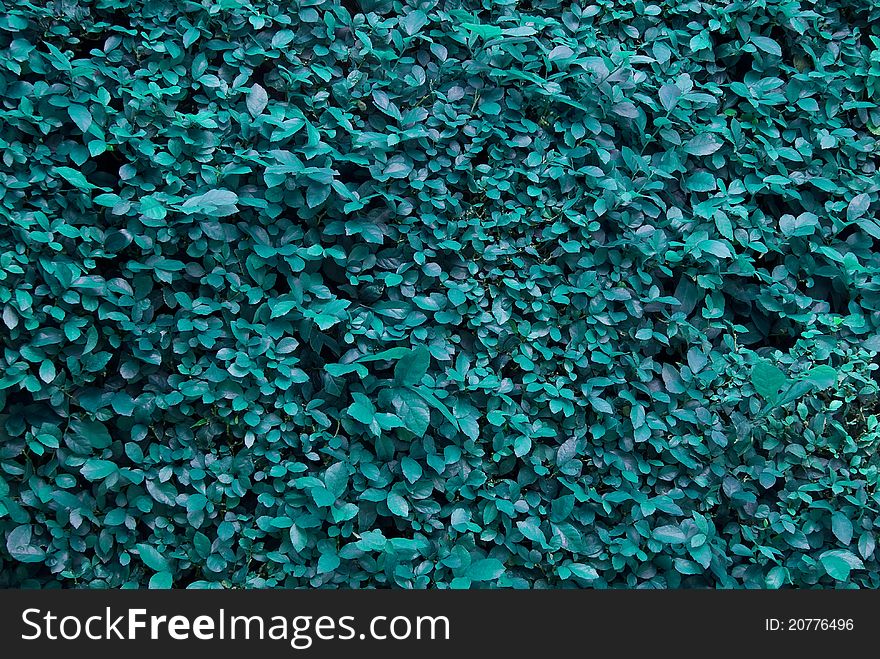 Abstract background of blue leaves