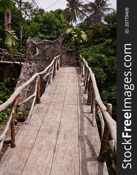 The adventure walkway bridge in jungle. The adventure walkway bridge in jungle