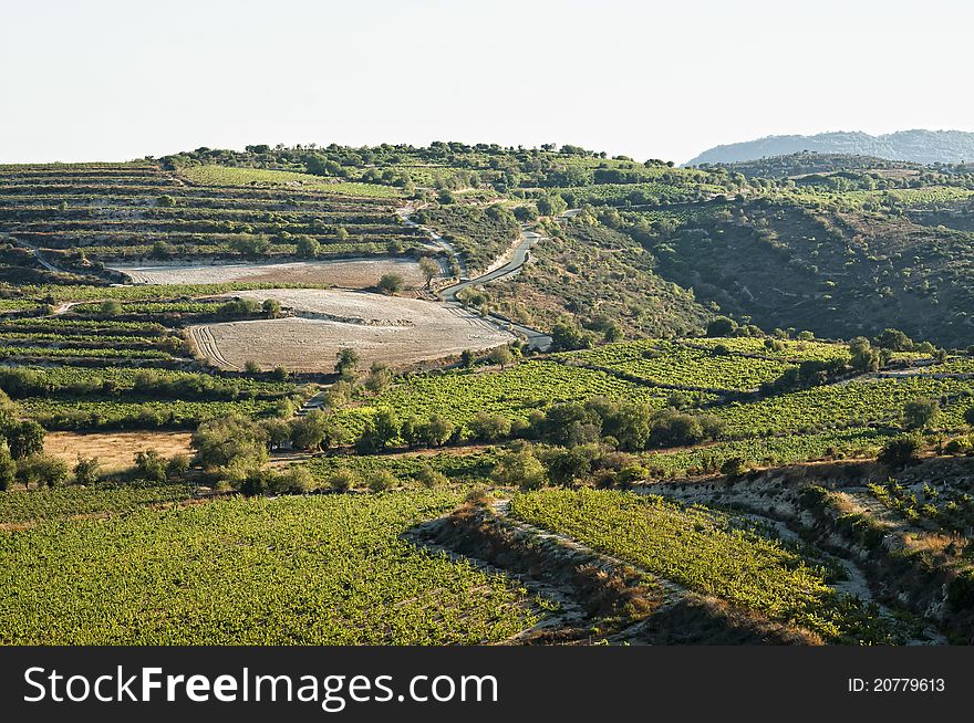 Green hills with small vineyards, empty field and road, hilltop view. Green hills with small vineyards, empty field and road, hilltop view