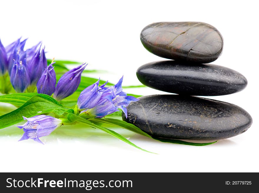 Spa stones and flower isolated on the white background. Spa stones and flower isolated on the white background.