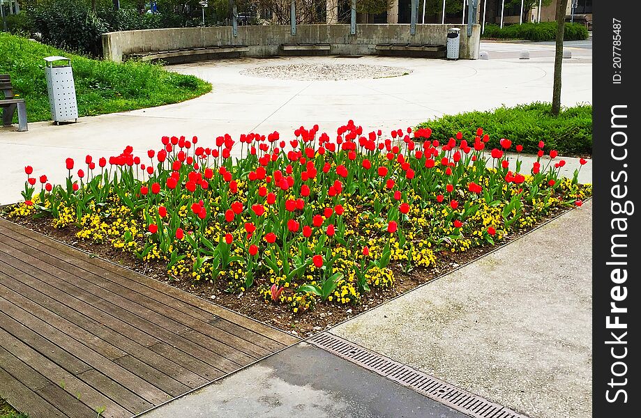 Flower bed with red tulips and yellow flowers in Tivoli Park  in the center of Ljubljana  Slovenia.