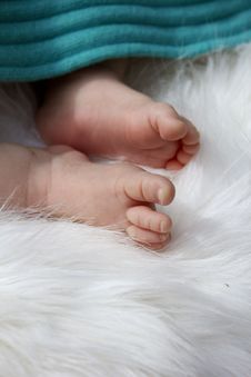Newborn Baby Feet Stock Images
