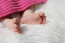 Newborn Baby Feet Stock Photography