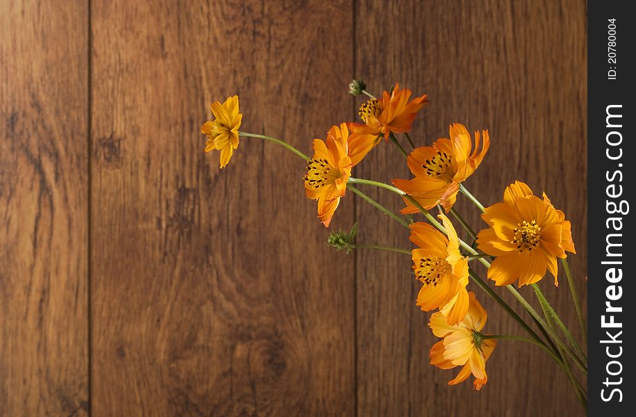 Orange flowers on wood background