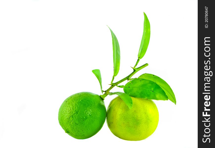 Two fresh limes with leaves on white background. Two fresh limes with leaves on white background