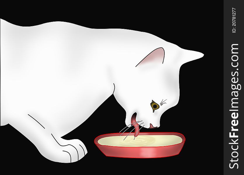 The white cat on a black background drinks milk. The white cat on a black background drinks milk