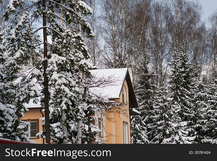 A view of a country house roof in winter landscape