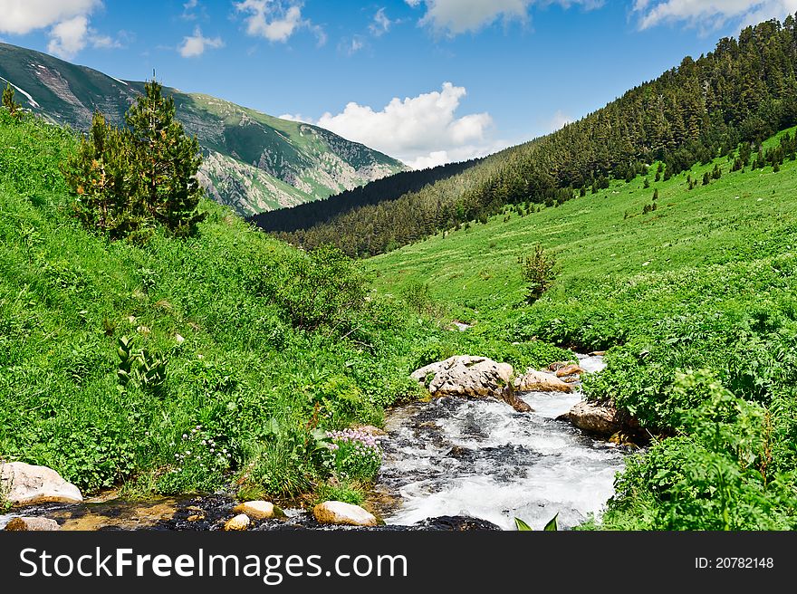 Summer landscape with green grass, mountains and river. Summer landscape with green grass, mountains and river