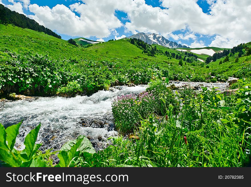 Summer landscape with green grass, mountains and river. Summer landscape with green grass, mountains and river