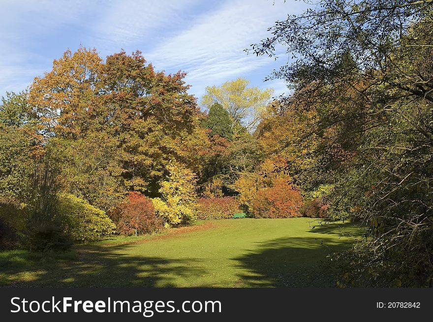 Beautiful detailed scene of autumn trees in tranquil location with colour. Beautiful detailed scene of autumn trees in tranquil location with colour