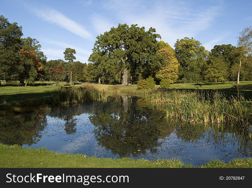 Beautiful detailed scene of autumn trees in tranquil location with refelction on lake. Beautiful detailed scene of autumn trees in tranquil location with refelction on lake