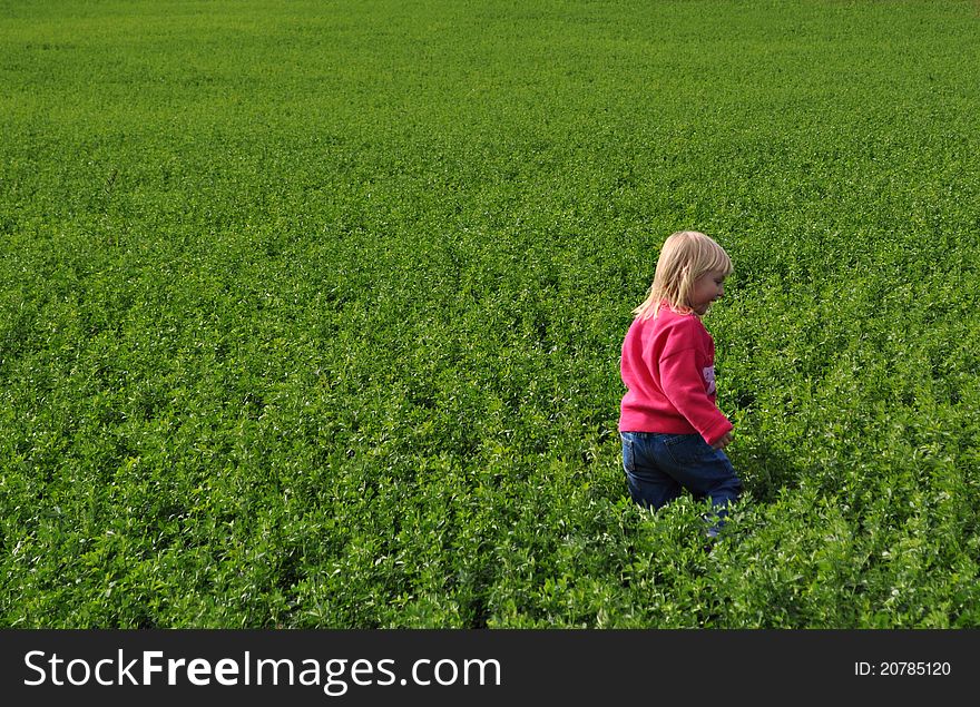 Little Girl In Field