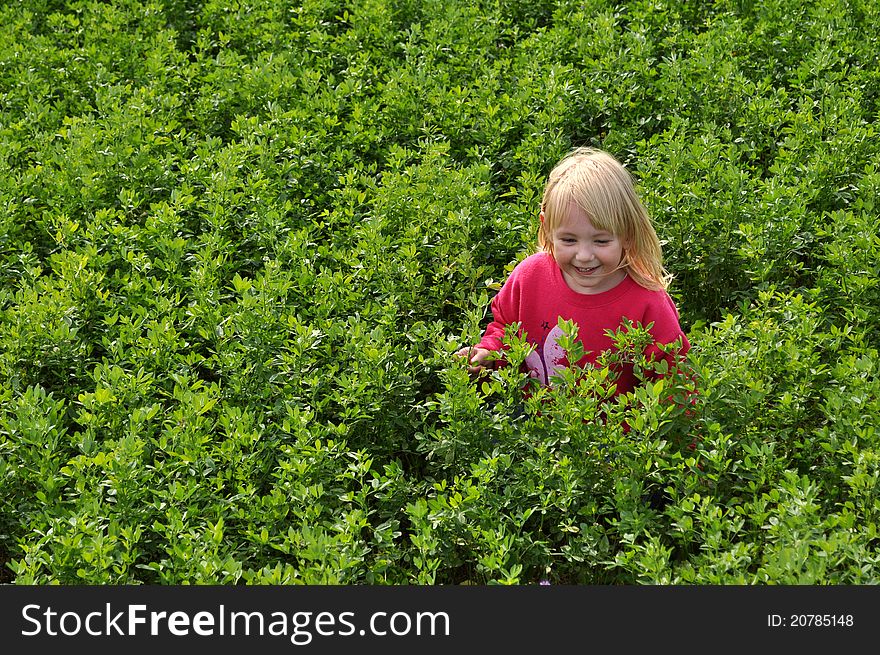 Beautiful little girl playing in a vast and green field and smiling. Beautiful little girl playing in a vast and green field and smiling.