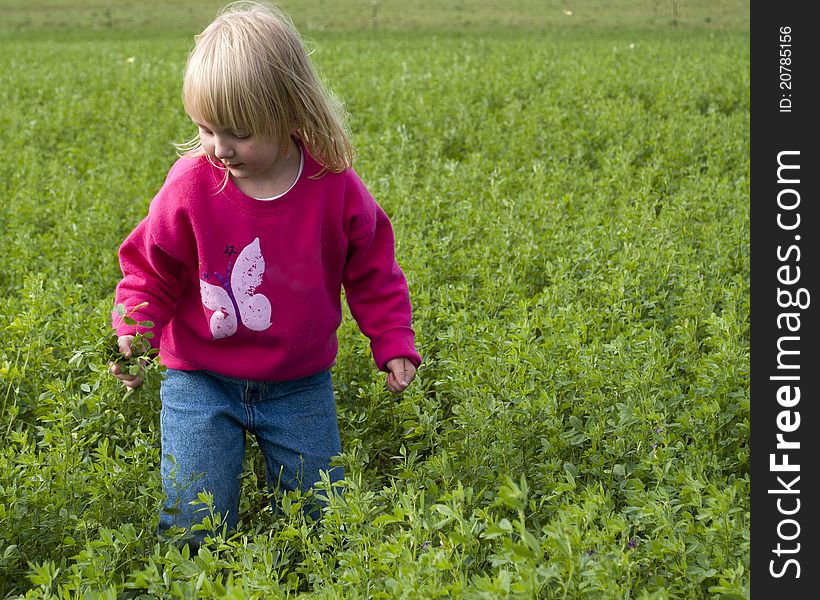 Little Girl In Field