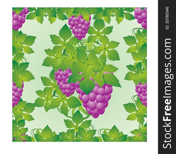 The leaves and grapes on a green background