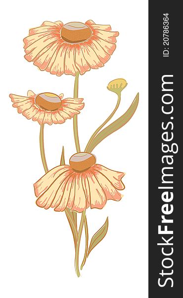 Vector hand drawn fantasy helenium and leaves. Vector hand drawn fantasy helenium and leaves.