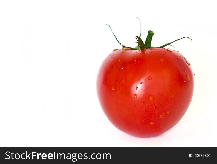 Piece Of Tomato