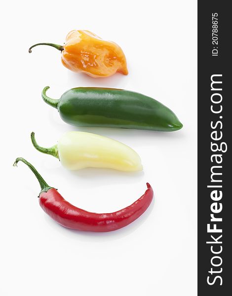 Chili peppers on a white background