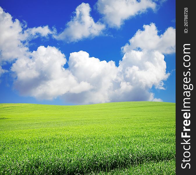 Green grass over wonderful blue sky. Green grass over wonderful blue sky