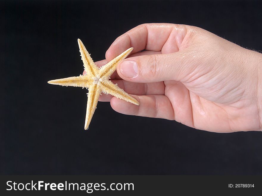 Starfish in the hand of man