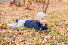 Boy Walking In Autumnal Park Stock Photography