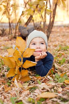 Boy Walking In Autumnal Park Royalty Free Stock Photography