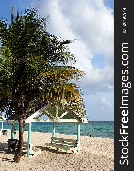 Carribean hut with palm tree on Grand Caymand Island