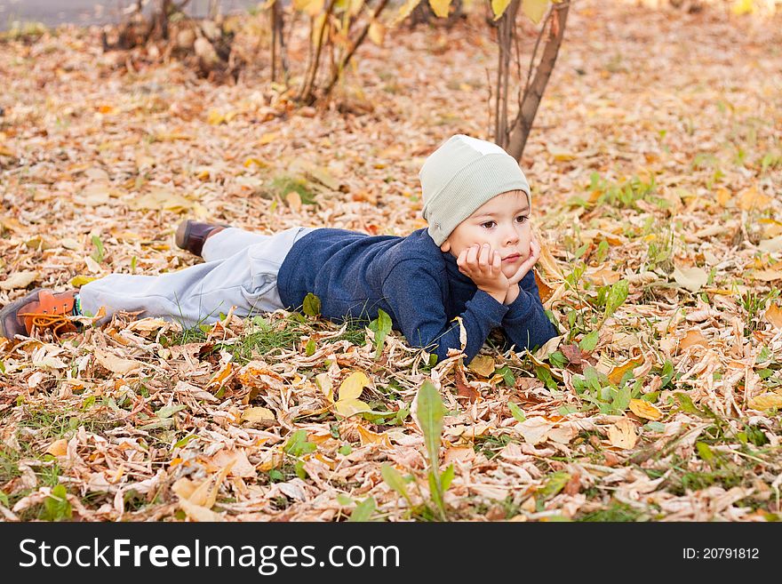 Boy walking in autumnal park