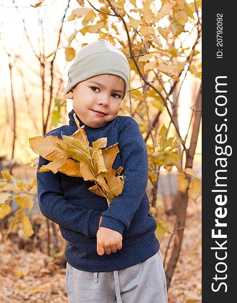 Little happy boy walking in autumnal park