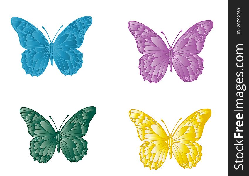 Detailed butterfly in four colors