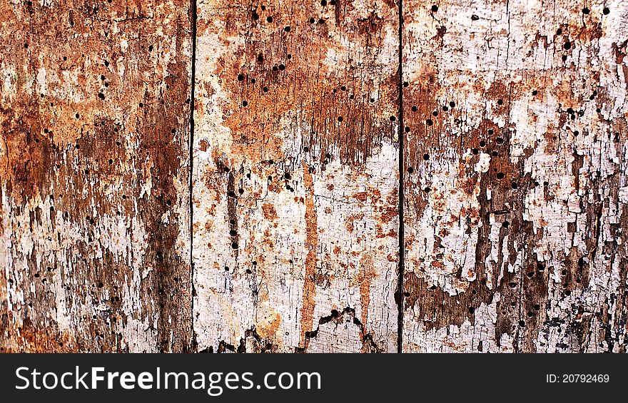 Part of a rotten wooden door