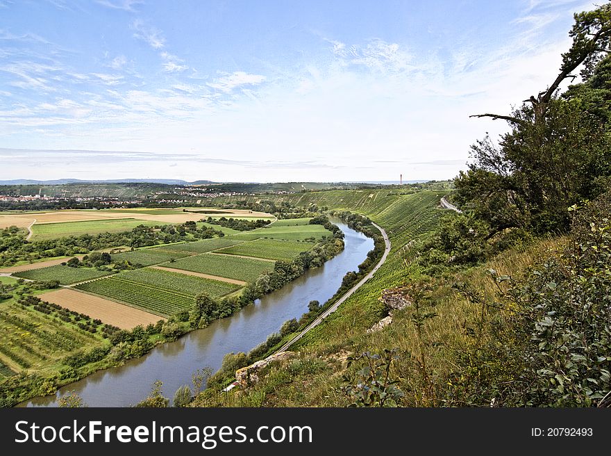 Beautiful Vineyard Landscape with river Neckar