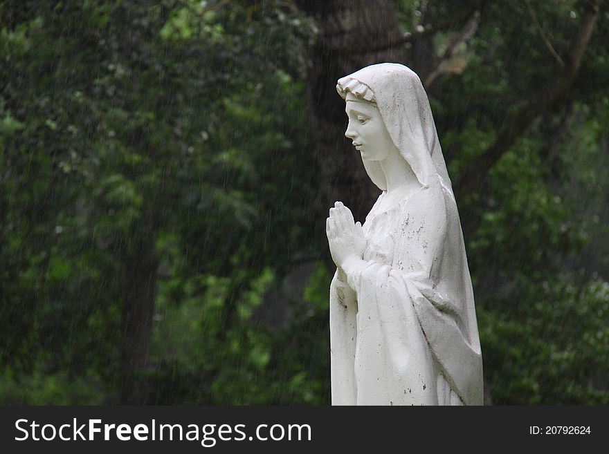 On a background dark trees the gipseous ancient sculpture of goddess stands 
in the rain. On a background dark trees the gipseous ancient sculpture of goddess stands 
in the rain.