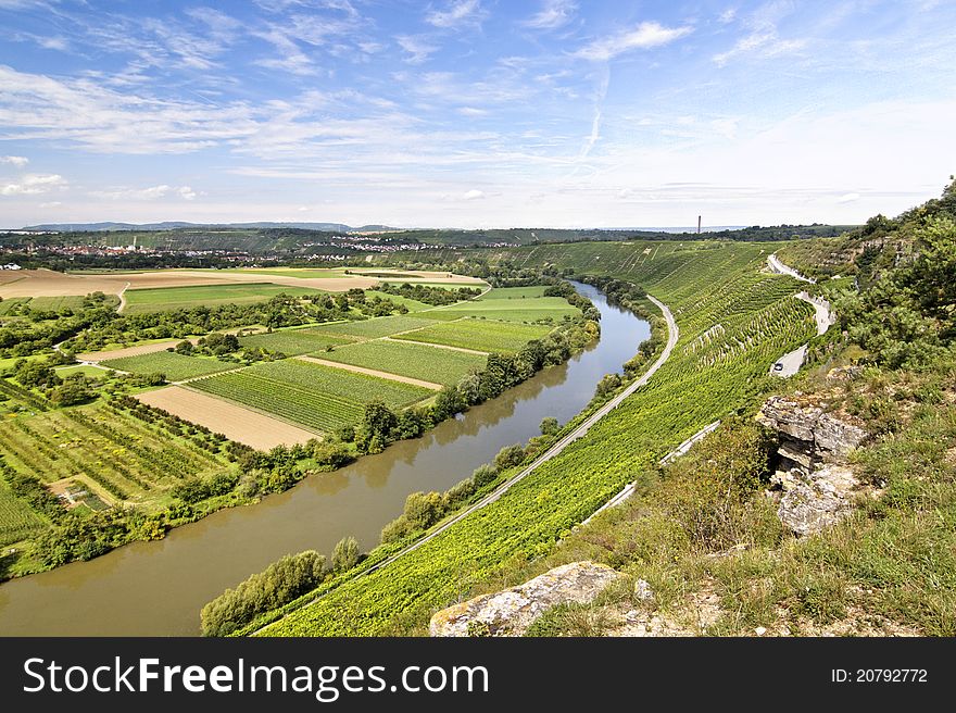 Beautiful Vineyard Landscape with river Neckar
