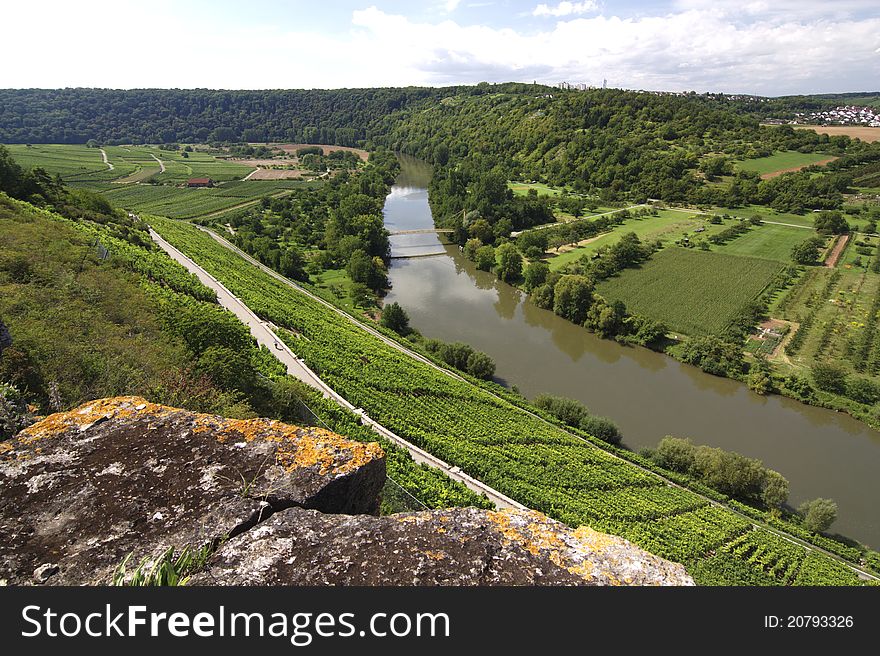Beautiful Vineyard Landscape with river Neckar