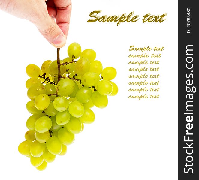 Hand with a bunch of grapes on a white with sample text