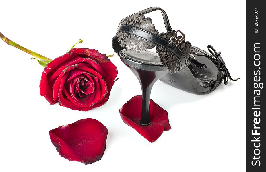 Heel of a female shoe standing on a rose-petal. Heel of a female shoe standing on a rose-petal