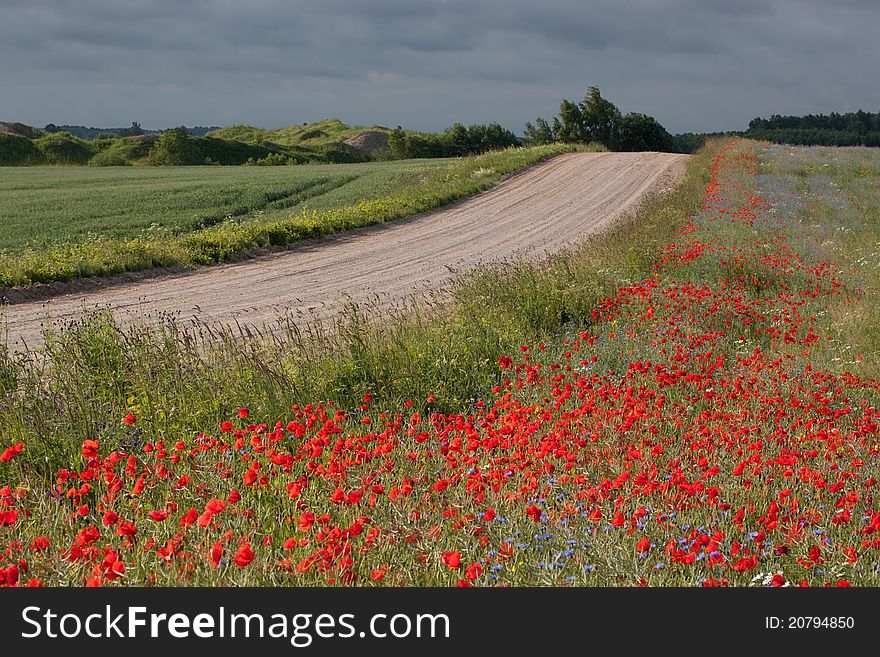 Landscape With Poppies.