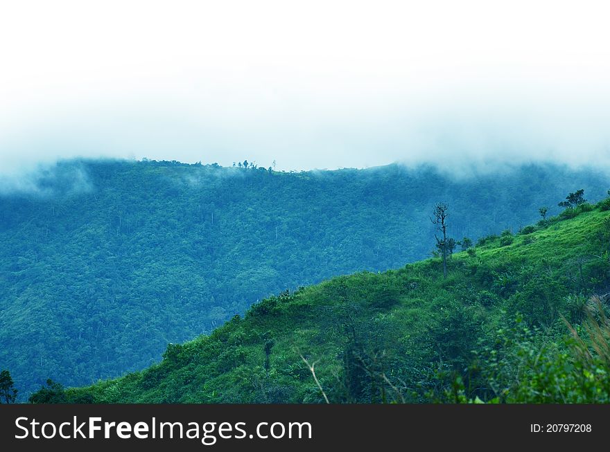 Beauty blue clean clear color distance european fog. Beauty blue clean clear color distance european fog