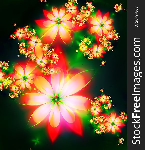 Abstract flowers on a dark background