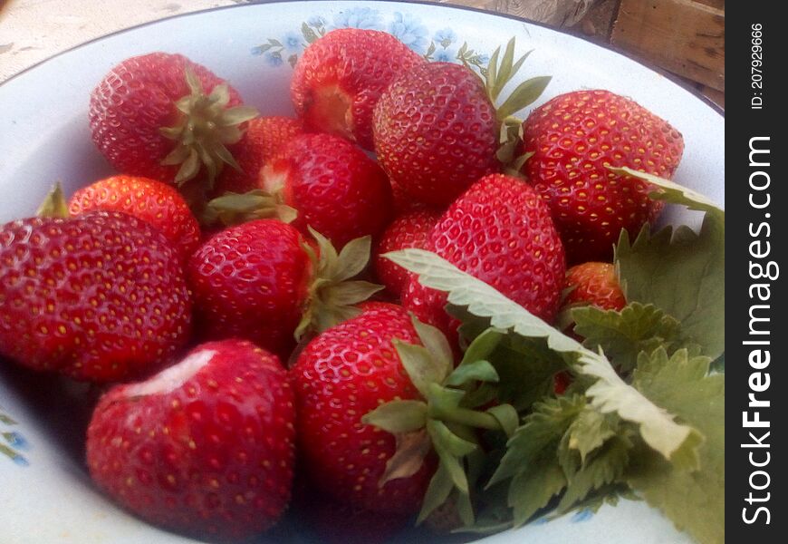 Freshly picked berries of ripe strawberries!. Freshly picked berries of ripe strawberries!