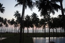 Silhouette Of Coconut Tree Stock Photo Silhouette Of Coconut Tree Stock Photo